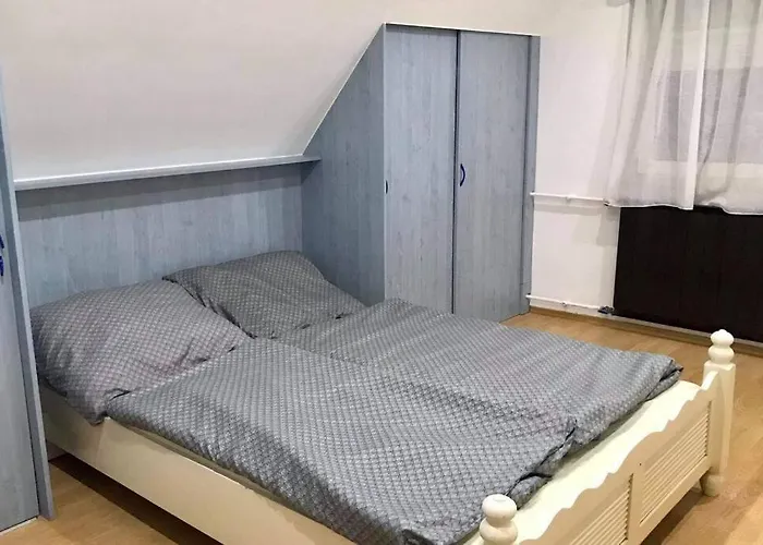 Zsuzsi Vendeghaz Visz