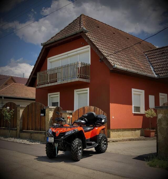 Zsuzsi Vendeghaz * Visz